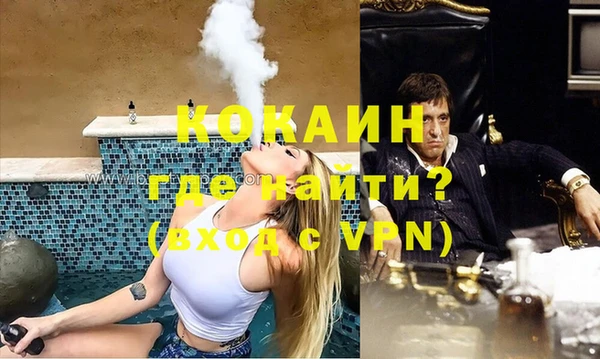 гидра Пересвет