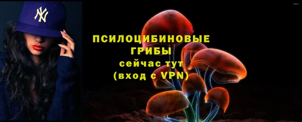jwh Осинники