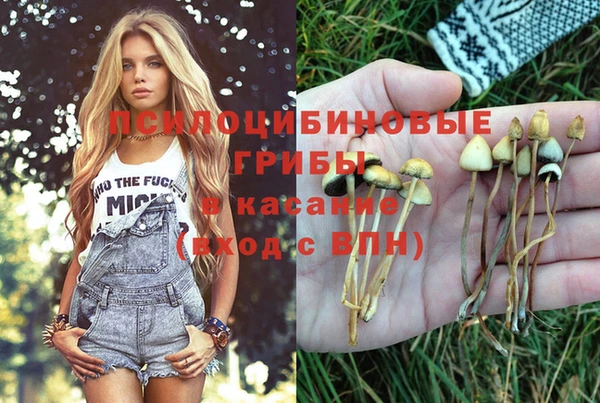 герыч Пестово