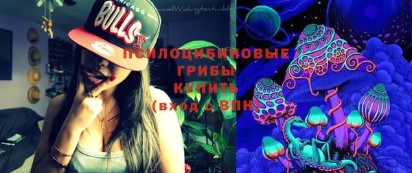 герыч Пестово