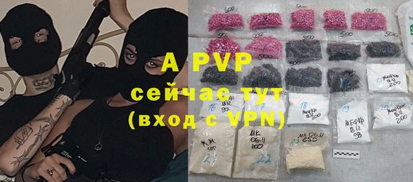 гидра Пересвет