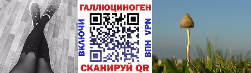 blacksprut онион Кинель Галлюциногенные грибы мухоморы