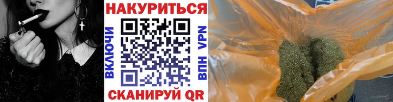 kraken ссылки  Кинель  Бошки марихуана SATIVA & INDICA 